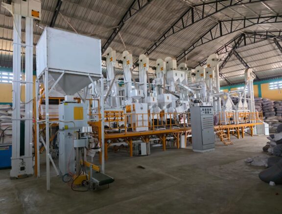 Processing and marketing of: Long-grain white rice, Red rice, Brown rice, Parboiled rice. Benefit: Adds local value, reduces post-harvest losses, and increases farmer incomes.
