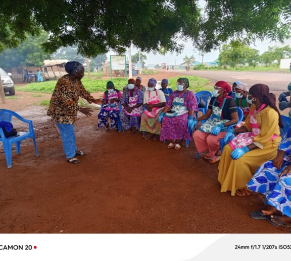 Training, Mentorship & Capacity Building